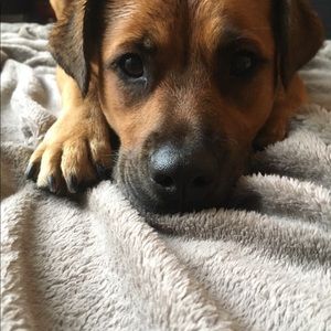 Meet your Posher, Emily